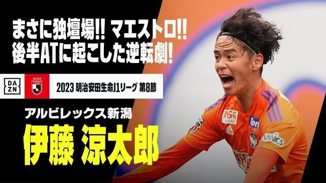 1686135824503024198.jpg 8.jpg